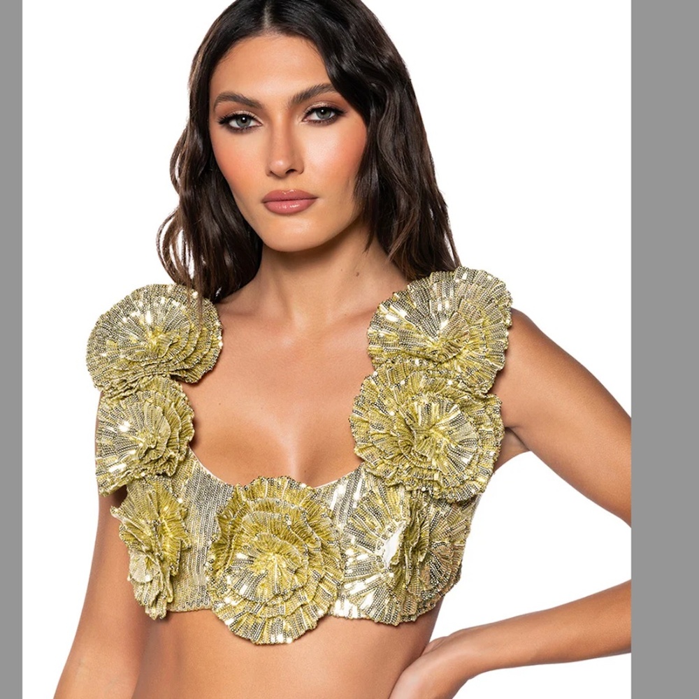 AKIRA EVERY ROSE SEQUIN CROP TOP Size LL